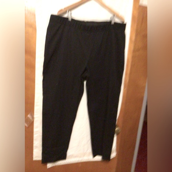 EILEEN FISHER  pants Sz 1X New Other - Picture 3 of 10